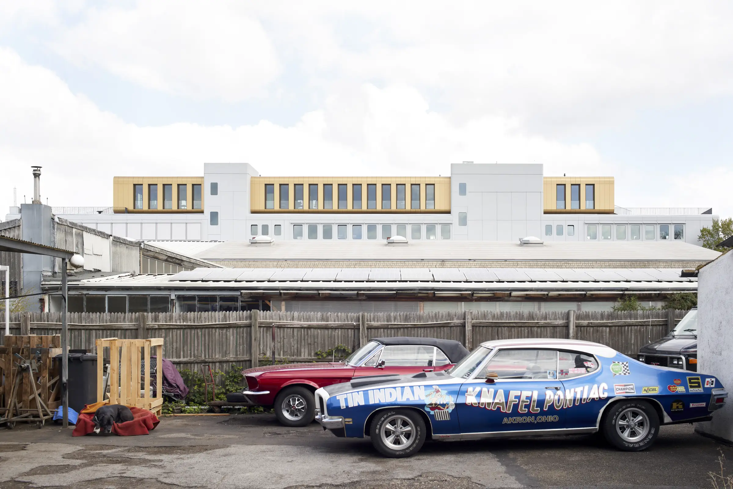 American cars and sleeping dog in front of Werft16 by Kresings with the gold upper storey visible in Düsseldorf