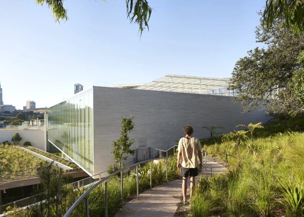 Person walking along boardwalk through native garden on Sydney Modern rooftop
