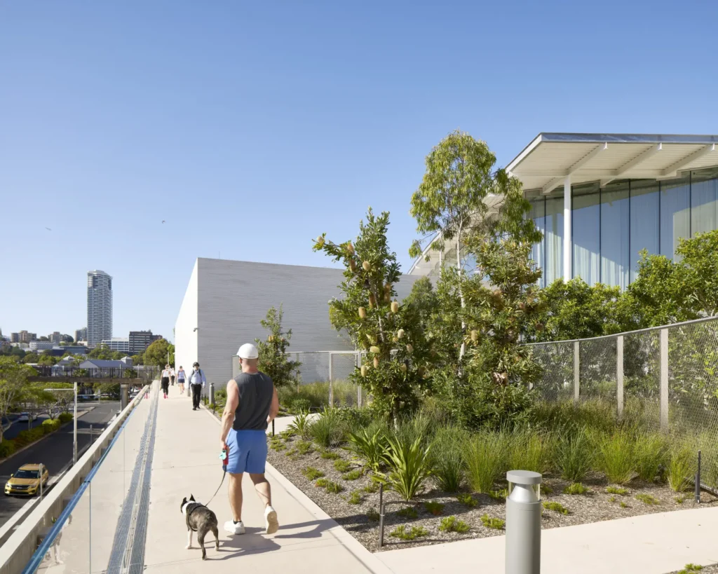 Morning walkers along boardwalk through native garden on Sydney Modern rooftop