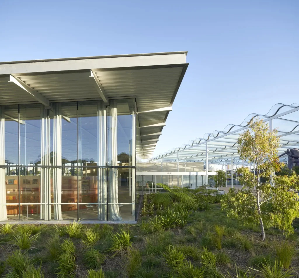 Glass and steel canopy embedded into native landscape at Sydney Modern art gallery