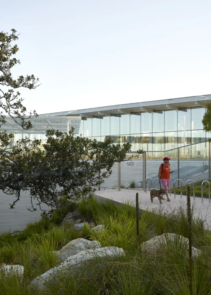Person walking with dog through native garden on Sydney Modern rooftop by SANAA