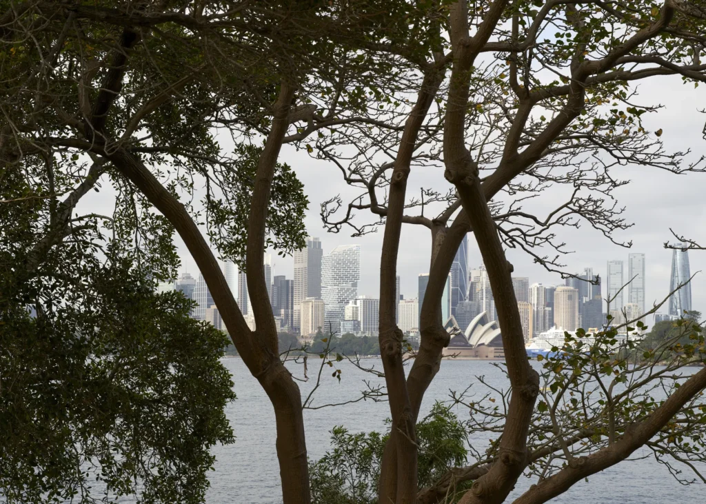 Trees framing the view to Sydney CBD with Quay Quarter tower from Cremorne Reserve